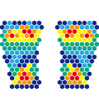 Diagram: How HexaShock's reduces pain with padded socks - bottom view